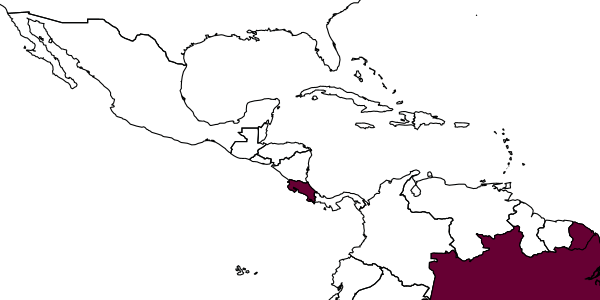 map of Dryinus opacus     Olmi, 1995